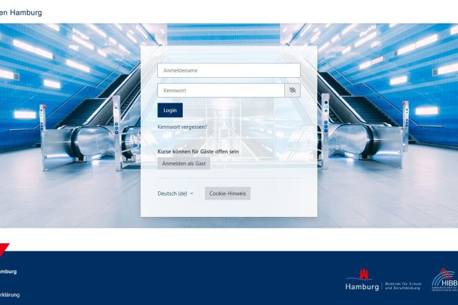 Screenshot (Quelle: lms.lernen.hamburg)